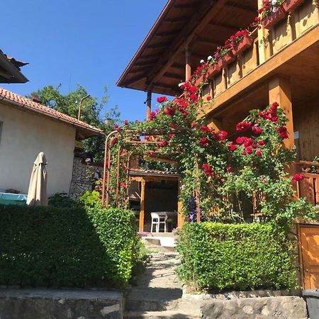 Guest House Roden Dom Kopriwschtiza Exterior foto